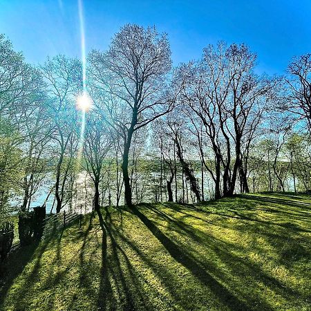100M2 Fewo Im Haus Am See Mit Garten Bei Potsdam Schwielowsee Exterior foto